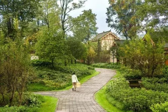 六善青城山景区,青城山六善