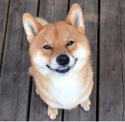 很爱笑怎么改善法令纹,爱笑的女孩子果然法令纹比较深