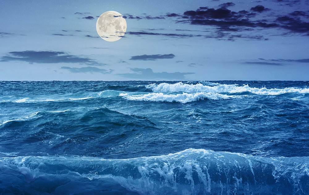 假如月球消失了,假如月球消失会发生什么