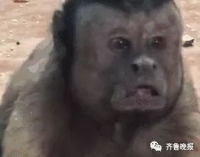 18年世界杯内马尔夸张翻滚,世界杯足球搞笑事件