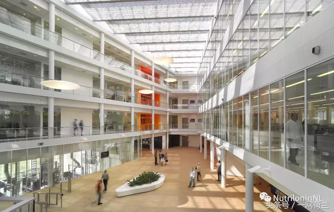 nutrilon奶粉有问题吗,nutrilon奶粉3段