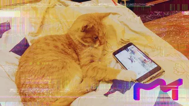 协和专家告诉您该如何正确选择近视眼矫正方法!