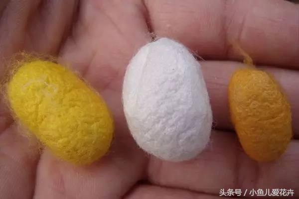 桑树种在家里可不可以,桑树盆栽放在家里可以吗