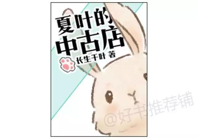 10本好看小说,10本好看的言情小说