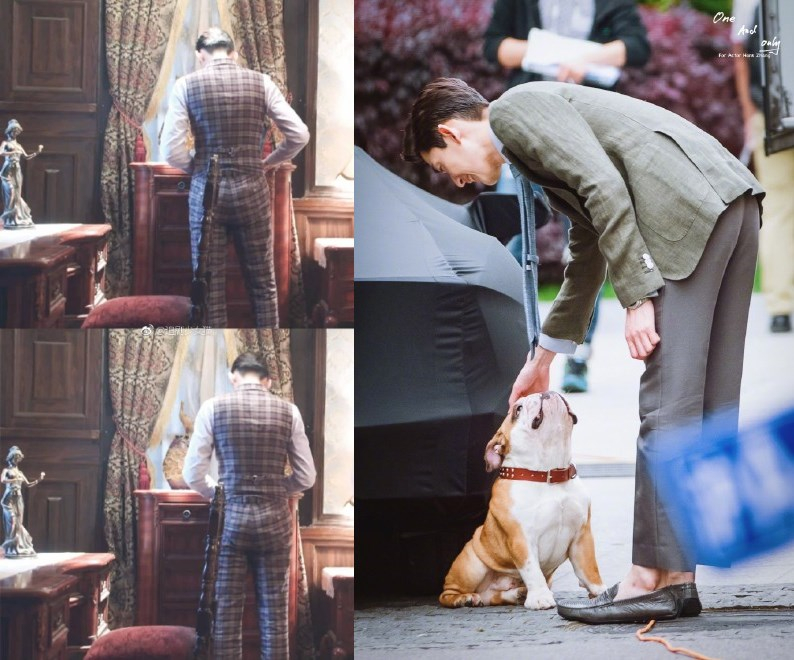 这次我要为张翰打call了……