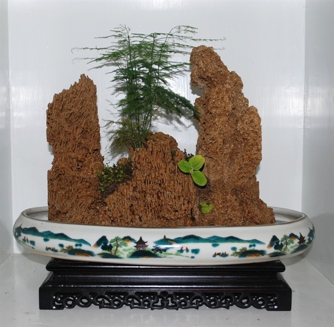 上水石盆景用什么种水草,上水石盆景栽什么树好