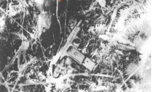 中国十大悍匪东北二王纪实,东北二王的通缉令完整视频