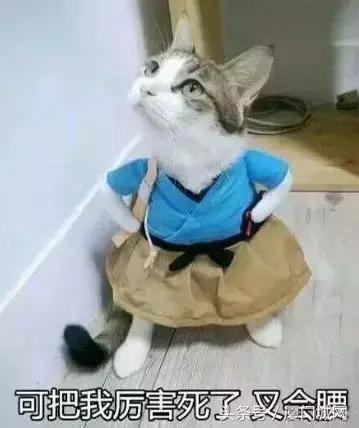 新财富500富人榜出炉，厦门5家企业的掌门人上榜！排名第一的是……