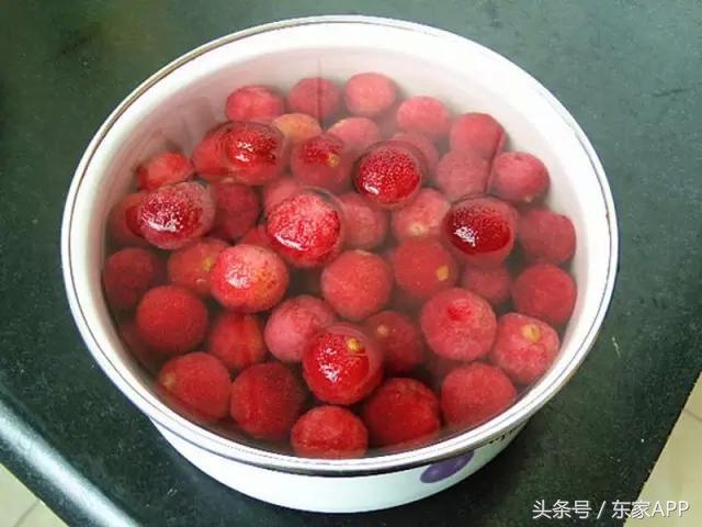 第一批杨梅即将上市!现在做杨梅酒,夏天正好喝!(附教程)