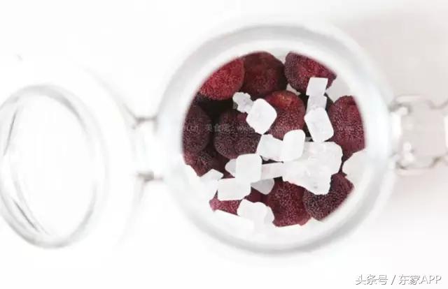 又到野生杨梅成熟的季节,又到了杨梅采摘季节