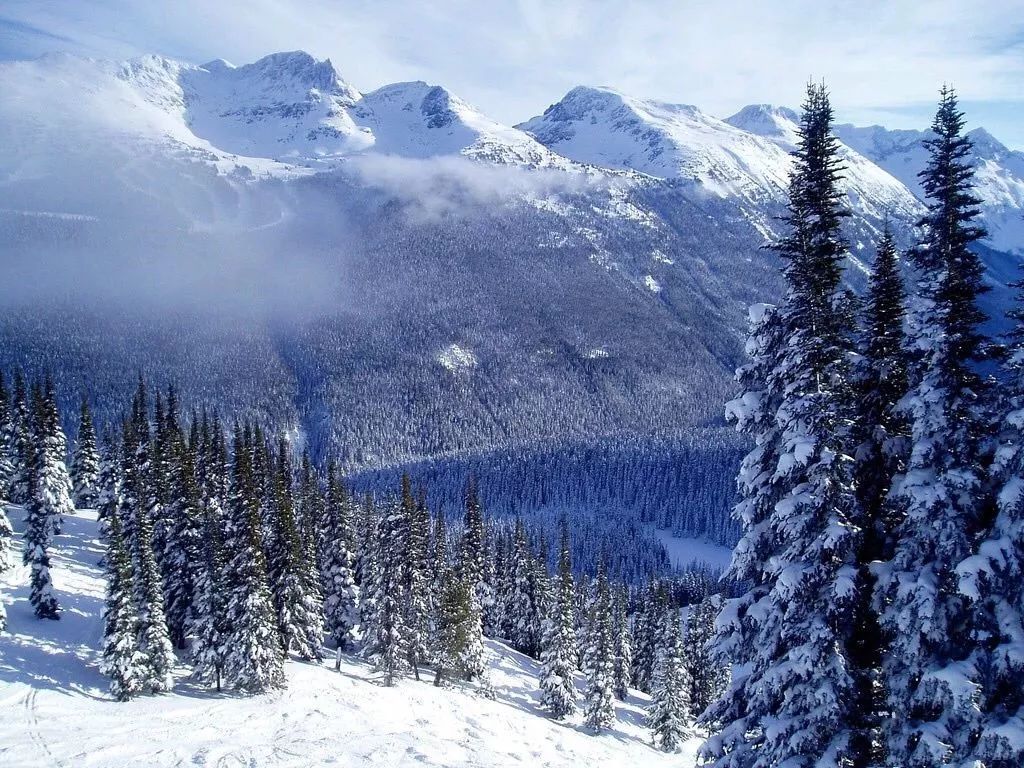 深圳机场温哥华航线,深圳直飞温哥华航线图