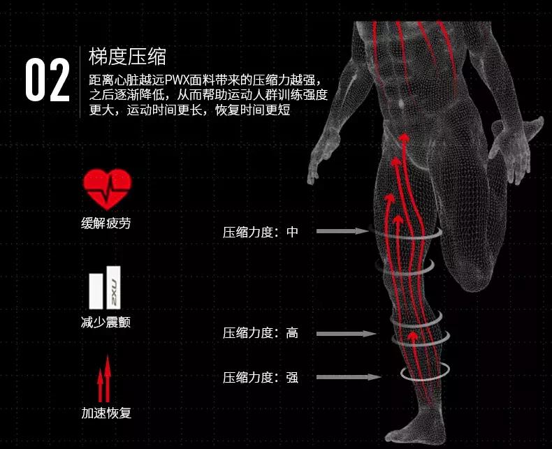 跑步穿压缩裤还是紧身裤,压缩裤紧身裤