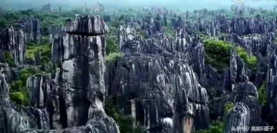 王鸥涨粉,王鸥最近怎么样了