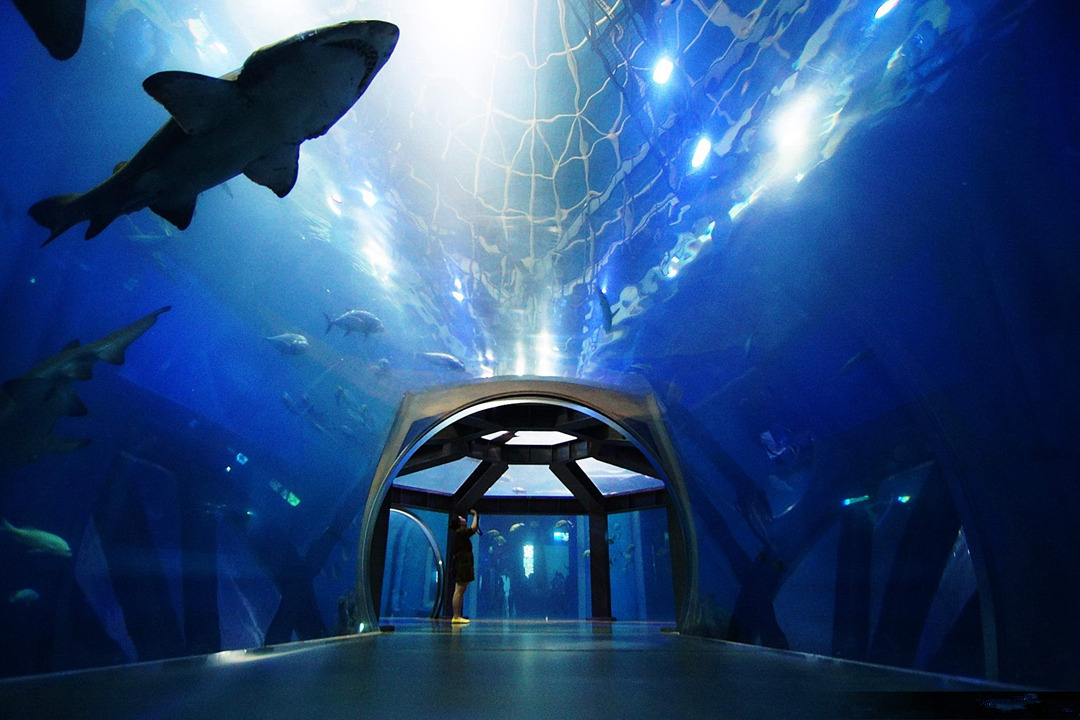 大连十大旅游景点排名简介,大连市旅游景点分布图