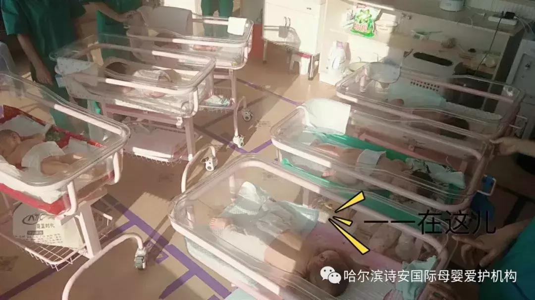 怎么判断月子中心月嫂是否专业,月子会所哪里比较专业