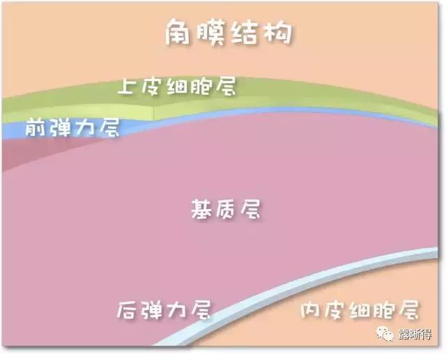 医生说的点涂是什么意思,点厾是什么意思