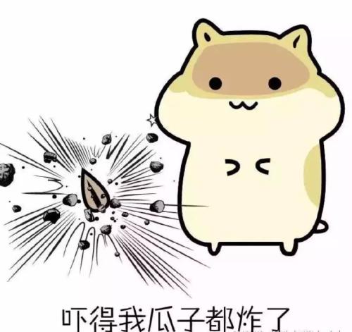 确认过眼神一定是亲生的文案,确认过眼神的人是逻辑鬼才