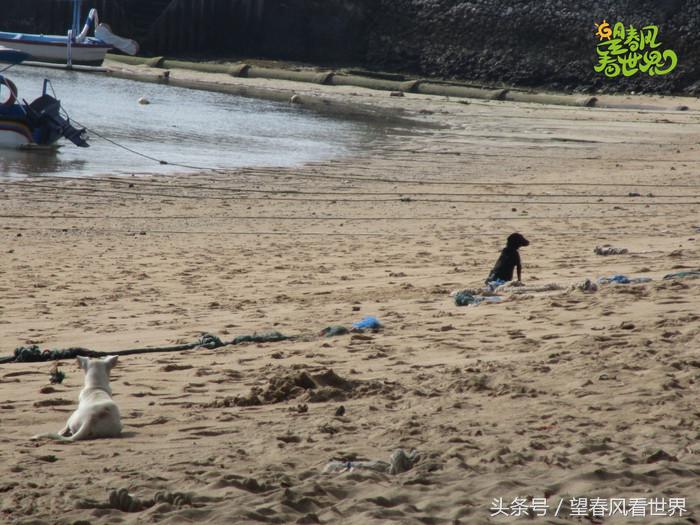 手绘旅行,东山岛旅游手绘游记