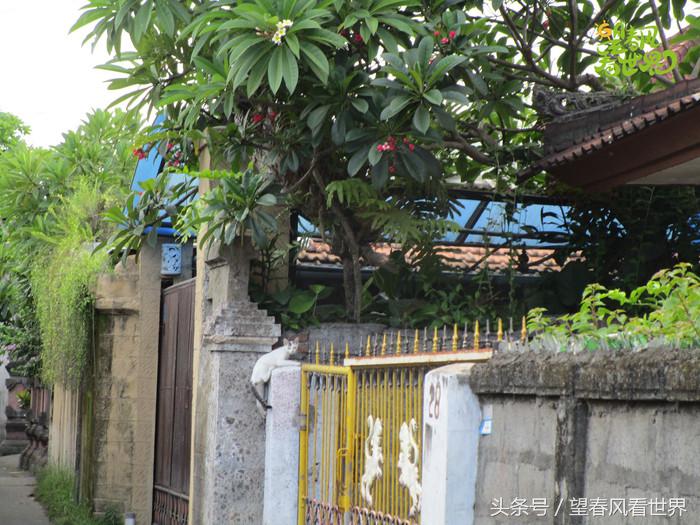 手绘旅行,东山岛旅游手绘游记