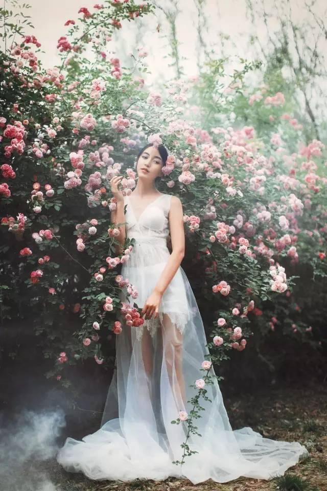 玫瑰月季和月季有区别吗,玫瑰月季如何区别品种图解