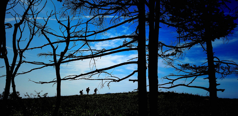 天华山-秦岭梁，又一条风景秀美的一日劲走线路