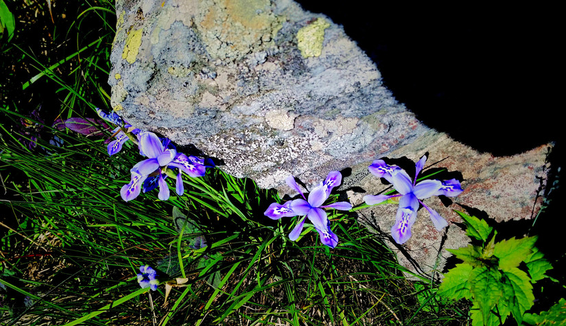 天华山-秦岭梁，又一条风景秀美的一日劲走线路