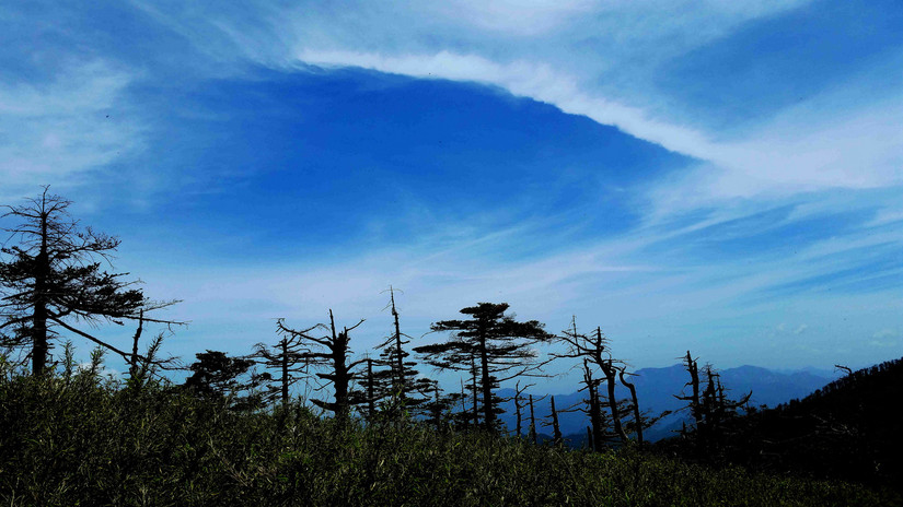 天华山-秦岭梁，又一条风景秀美的一日劲走线路
