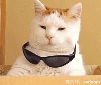 对妈妈说我的YSL只有50块!