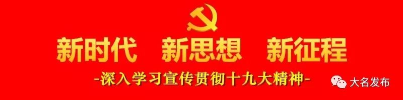 今年咱大名投资上亿的大项目、好项目，你知道几个？