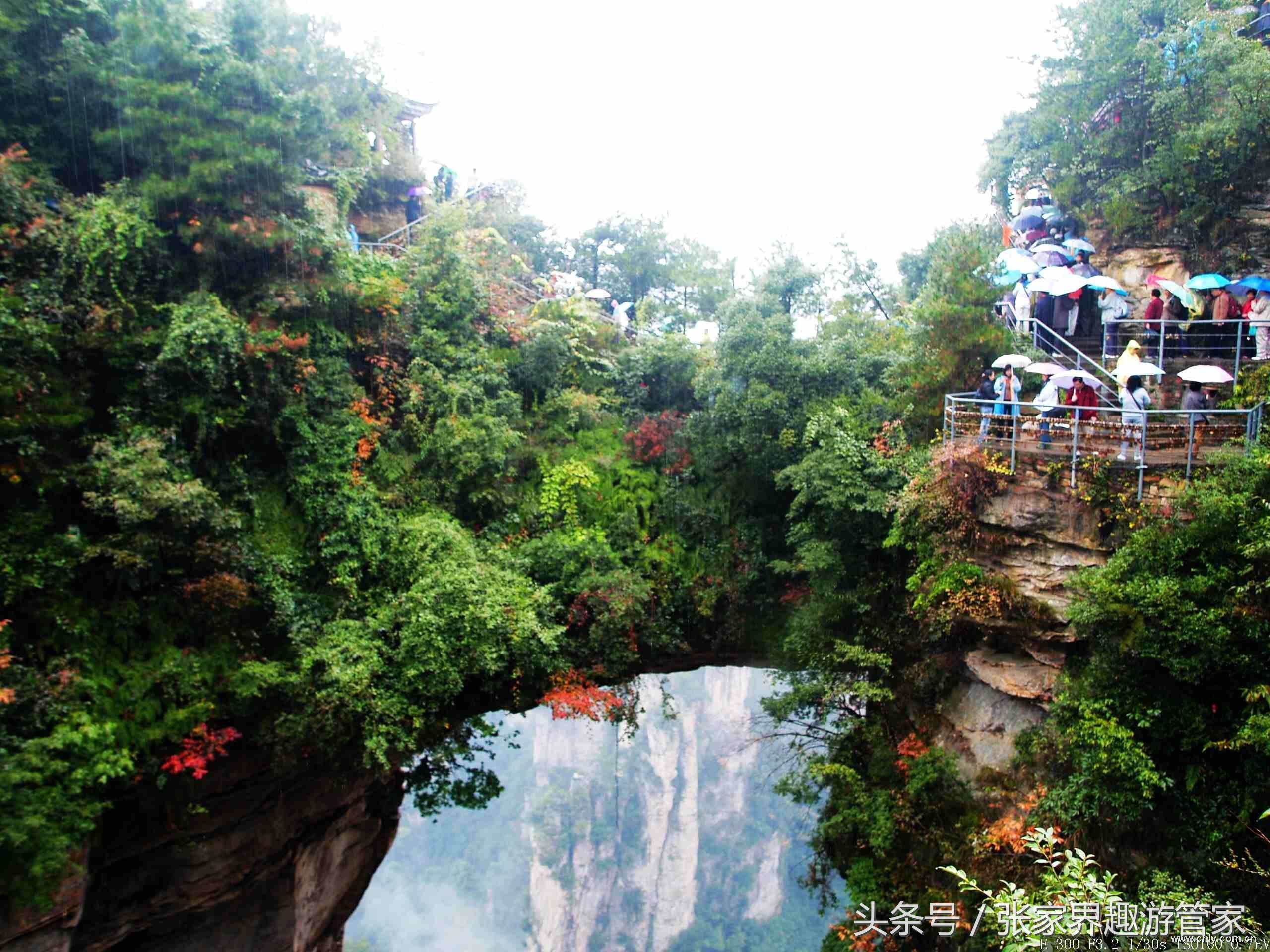 张家界旅游注意事项跟团,去张家界旅游注意事项和建议