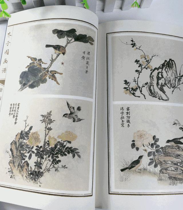 美女出浴，遭两个秃顶老头偷看！