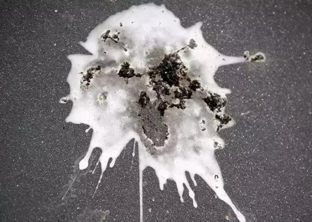 男子被酒店拉黑,男子在走廊上晒香肠