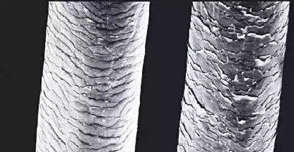 睡一觉起来头发成鸡窝,早上起来头发像鸡窝一样怎么办