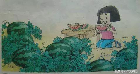 初中语文看图写话专题,小学语文看图写话范文大全20篇