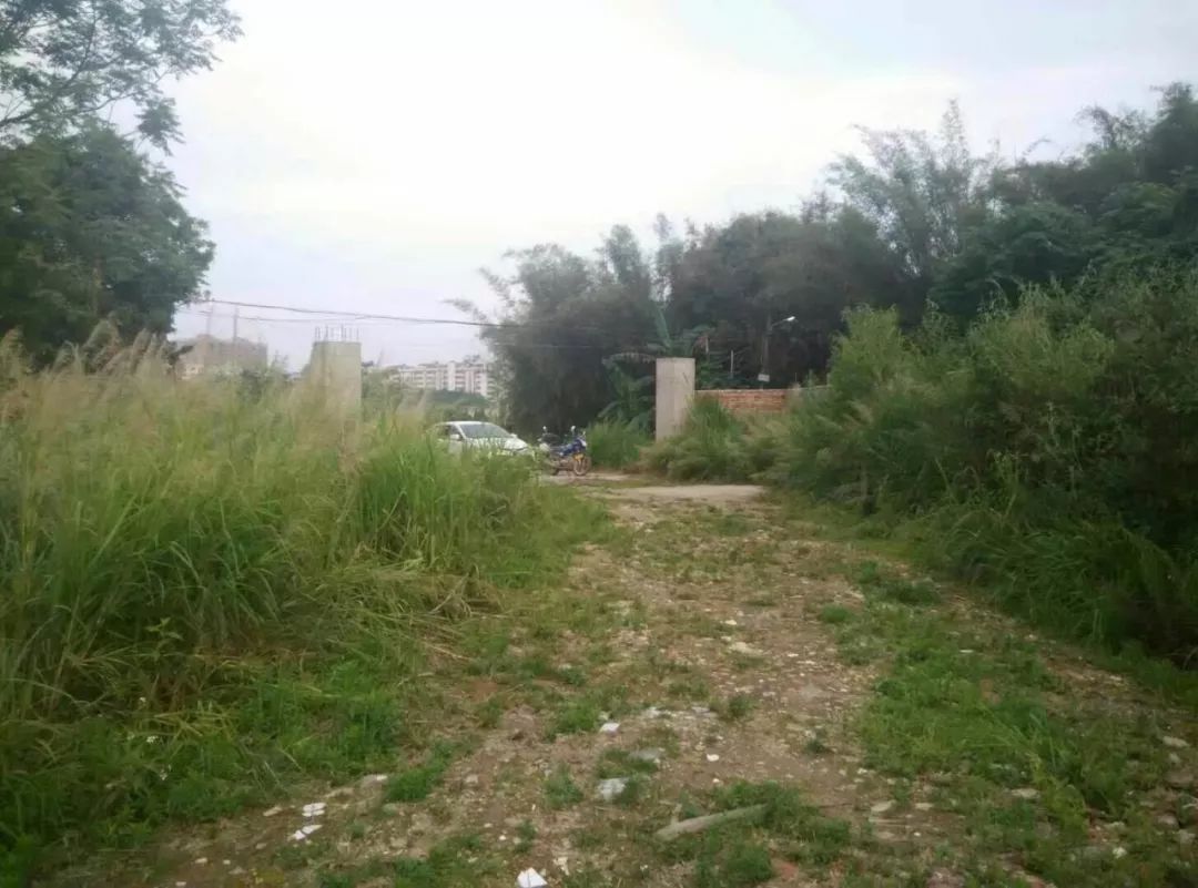 梅州江南出租房1千以下,梅州最新出租房