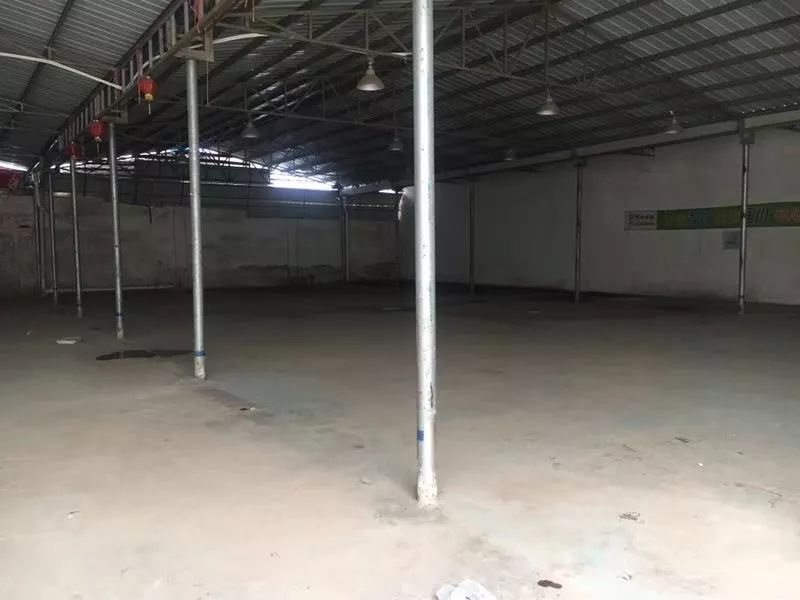 梅州江南出租房1千以下,梅州最新出租房