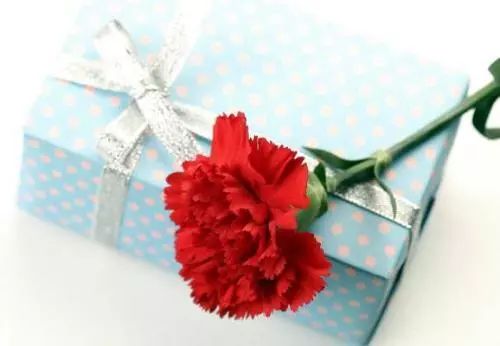 母亲节送花送啥花最合适,母亲节除了送花还能送什么学生党