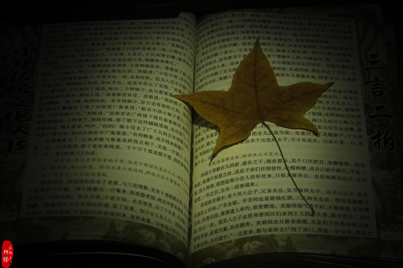 全能小怪-NITECOREMT21C使用体验