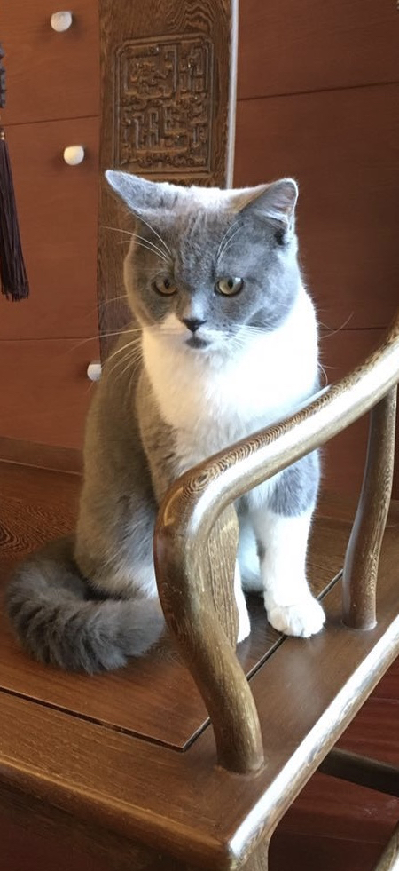 msci是如何选股的?,msci选股标准