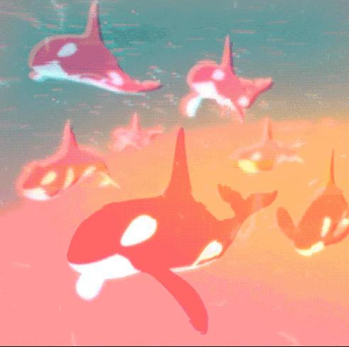 鸟和人类基因相似度多少,鸟和猫的智商哪个高