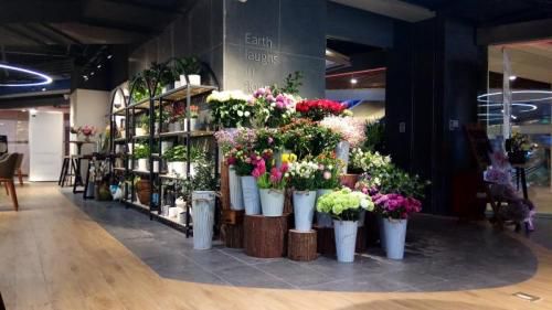 特别策划案例,特别策划的初心