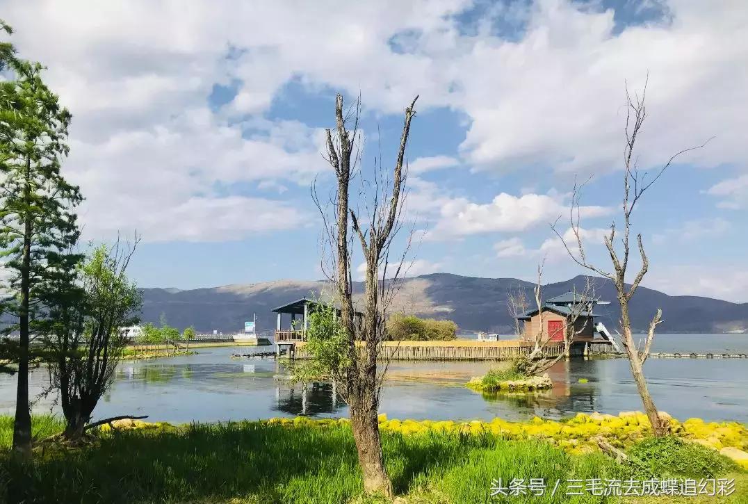 大理5月有什么玩的吃的,五月中旬大理适合旅游吗