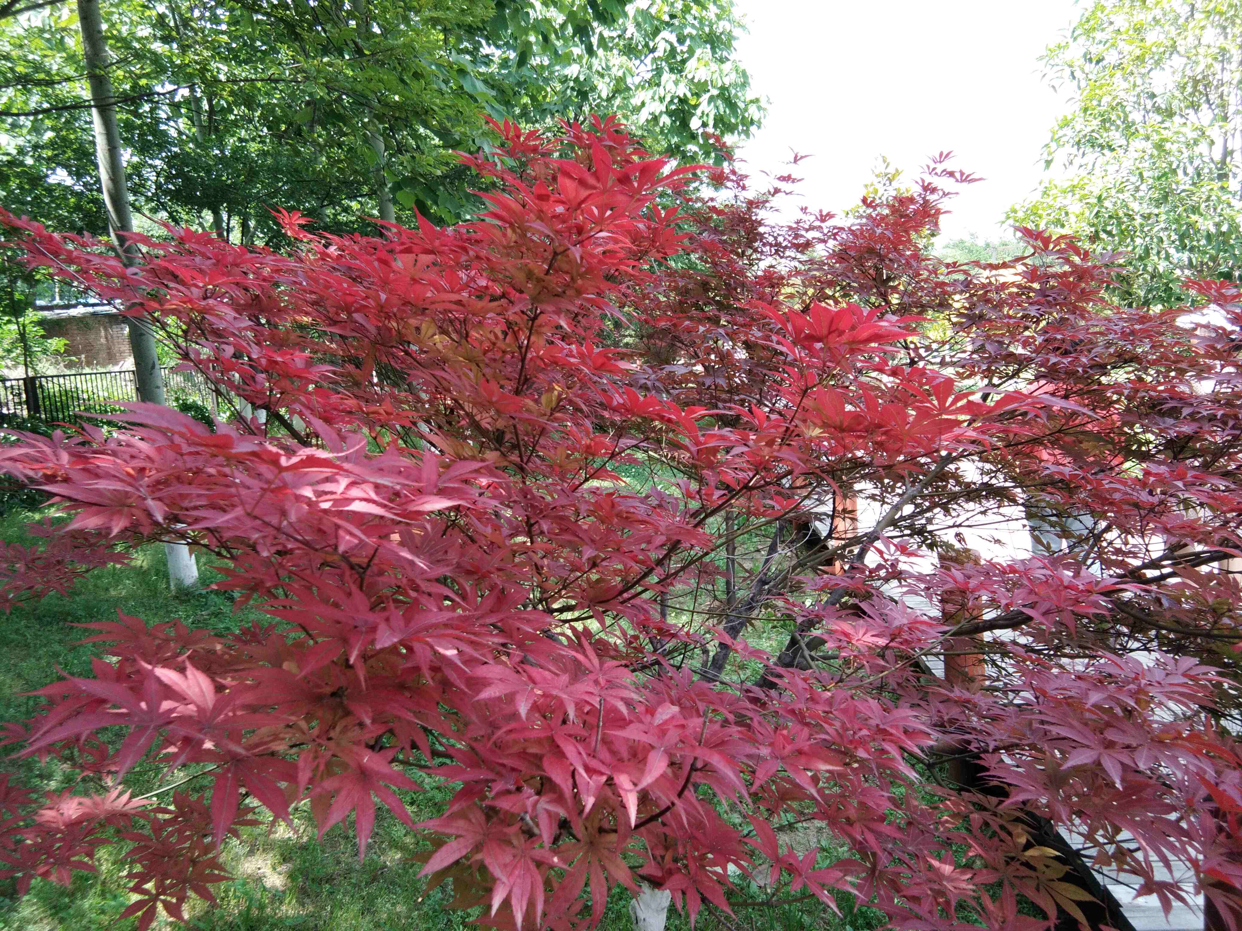 脚踏汉城湖公园全程!感受汉武辉煌!