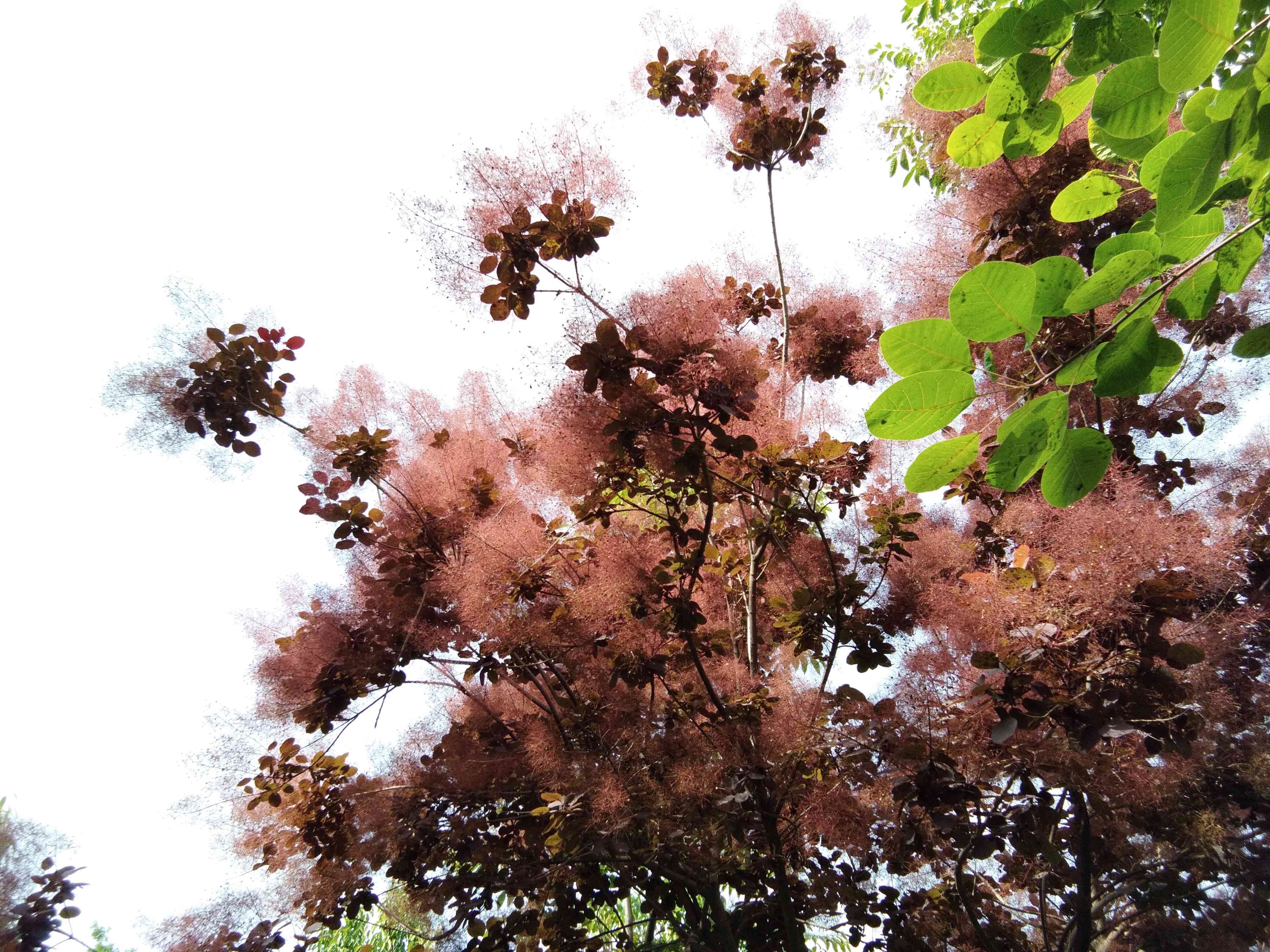 脚踏汉城湖公园全程!感受汉武辉煌!