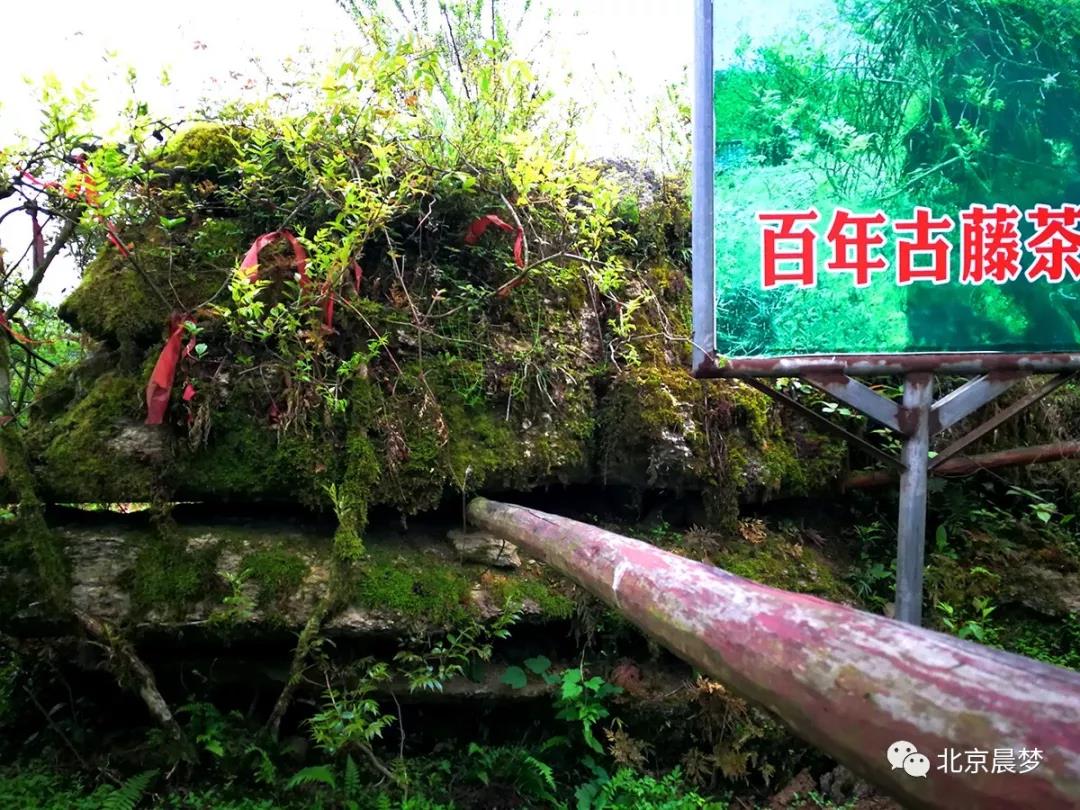 婀栧寳鎭╂柦鍦熷钘よ尪,鎭╂柦鍦熷钘よ尪鍔熸晥