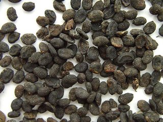 易读错中药名看看你认识几种,16种中药命名