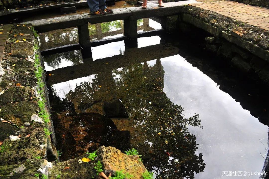 到海口琼山区不来雅蔡冷泉清凉一夏？