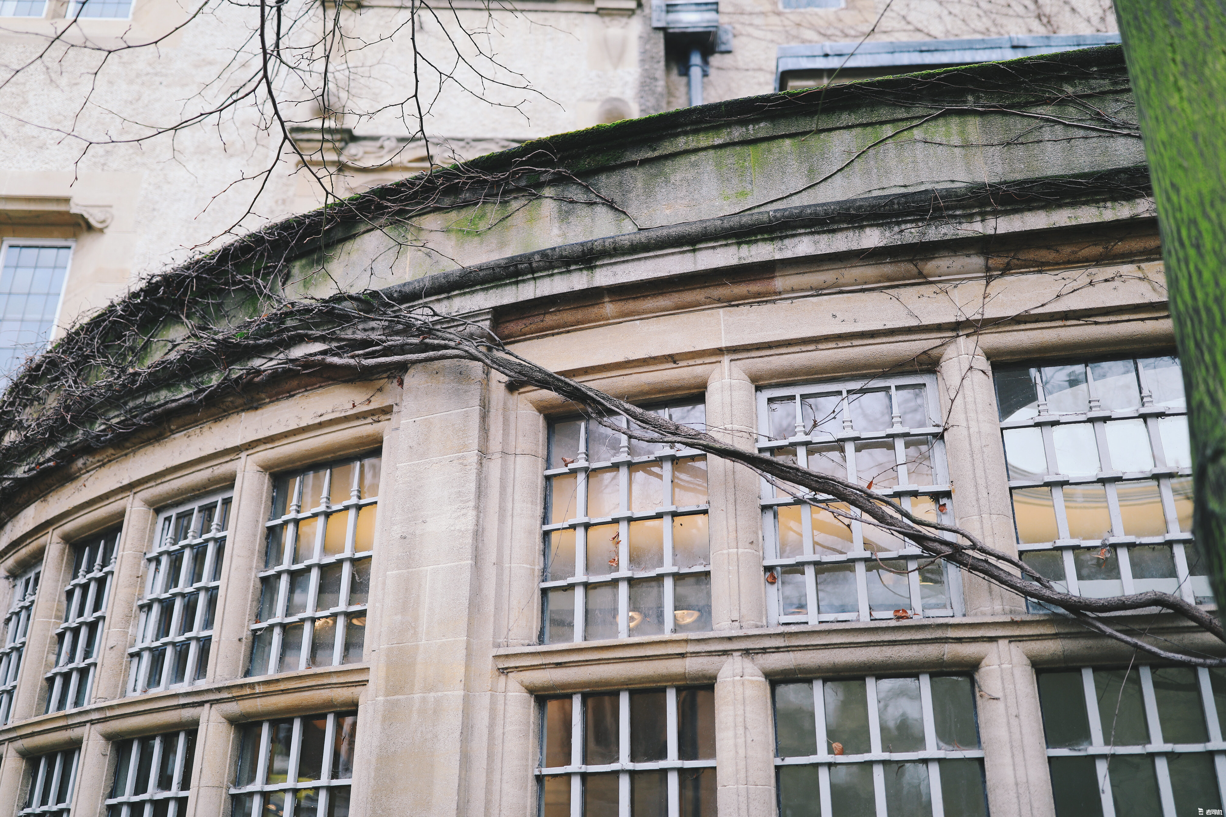 英国剑桥的康桥,英国剑桥大学的康桥