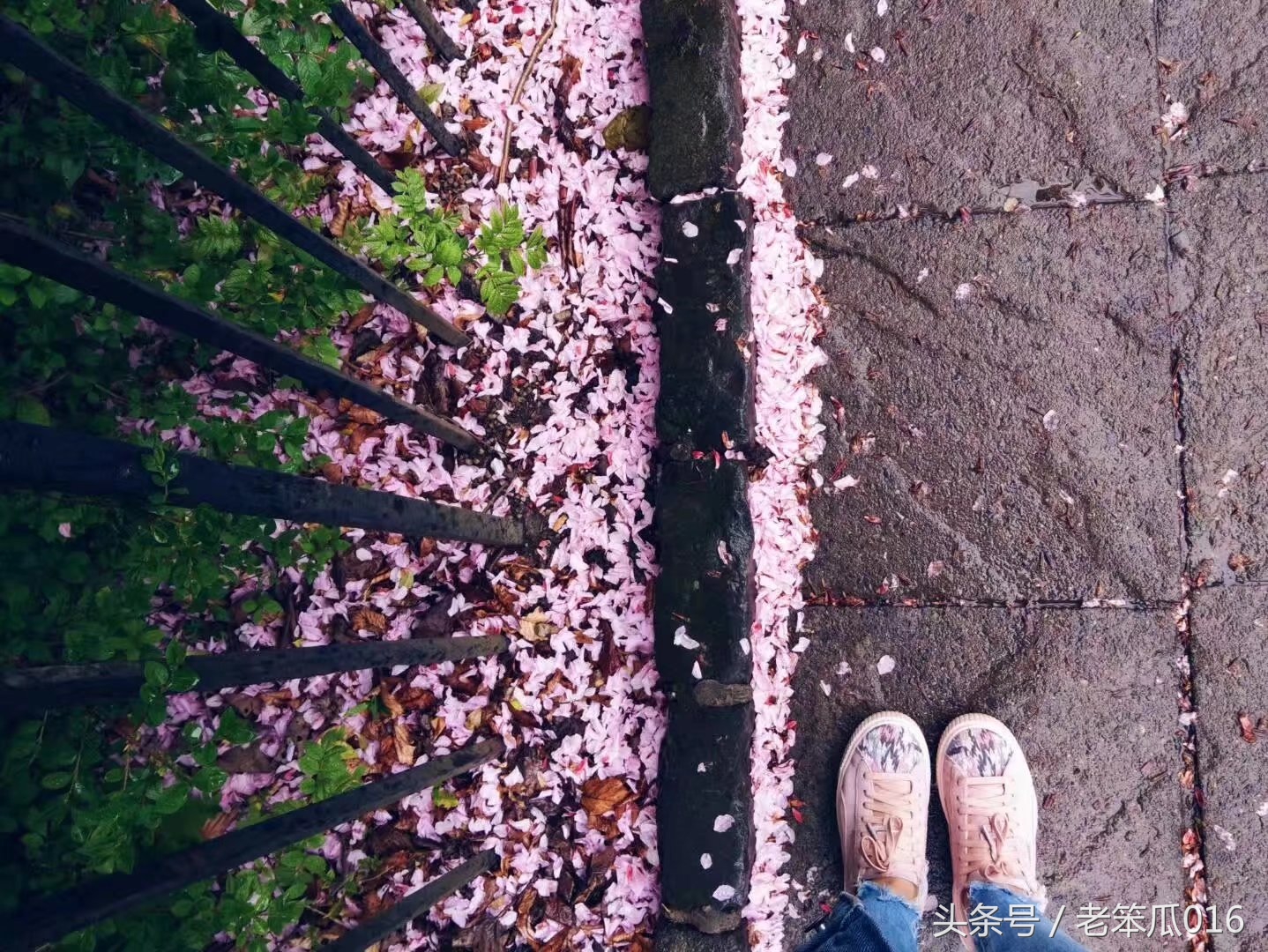 读头条，获大益：高二期中考试“孩子的谎言堪比剧本”作文分析