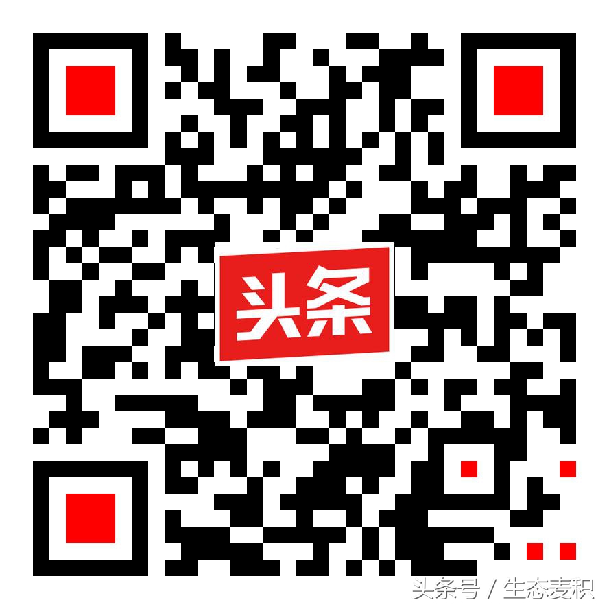 秦州区星光世纪幼儿园开园,天水市秦州区星光世纪幼儿园